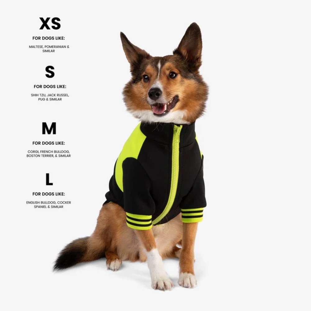 NANDOG PET GEAR  Dog Sport Jacket  Black/ Yellow Size : L - Picture 5 of 8